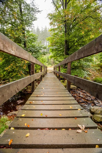 Ponte de madeira na natureza — Fotografia de Stock