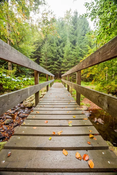 Ponte de madeira na natureza — Fotografia de Stock