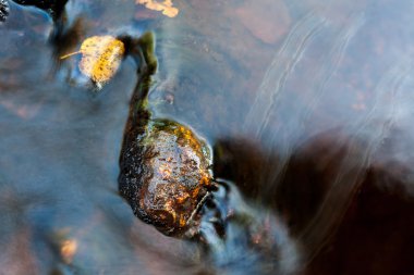 nehir kenarında büyük bir kaya