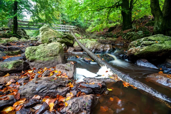 Holzbrücke in der Natur — Stockfoto