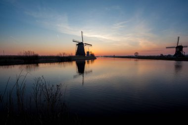 Hollanda'da doğal