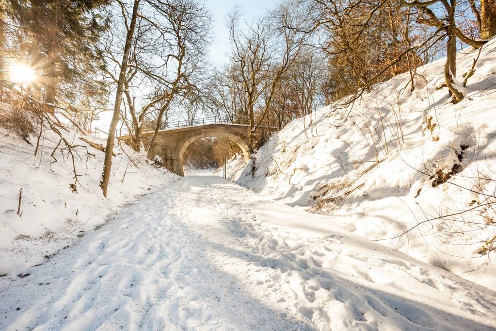 bridge in the snow