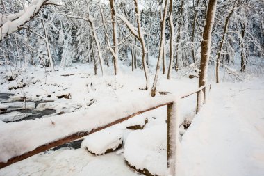 bir köprü Nehri Vadisi
