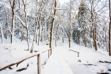 bir köprü Nehri Vadisi