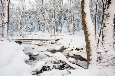 bir köprü Nehri Vadisi