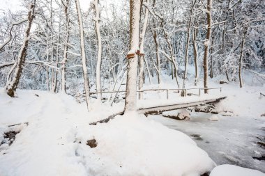 bir köprü Nehri Vadisi