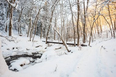 bir köprü Nehri Vadisi