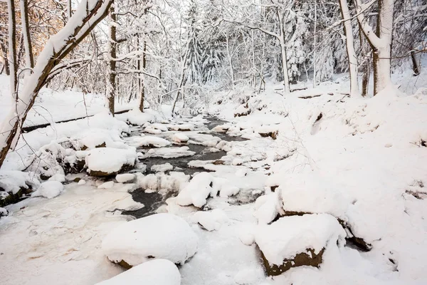 stock image river in the valley