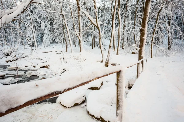 bir köprü Nehri Vadisi
