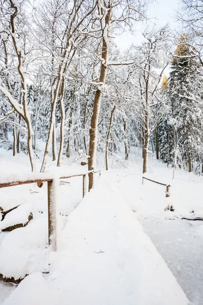 En bro över floden i dalen — Stockfoto