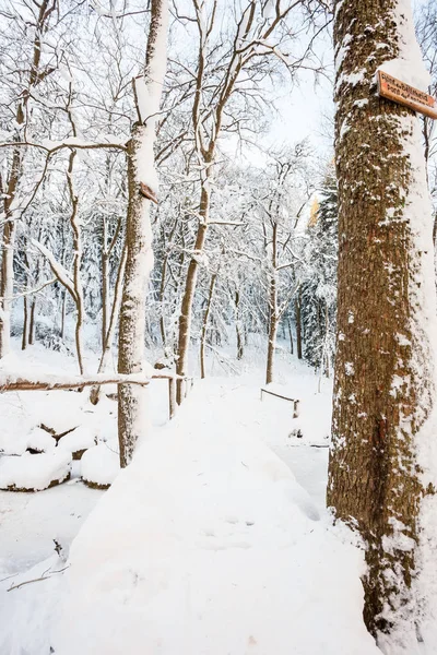 En bro över floden i dalen — Stockfoto