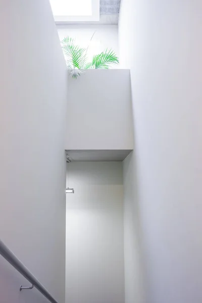 Лестница в здании — стоковое фото