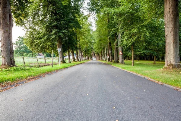 Eine Straße mit Bäumen — Stockfoto