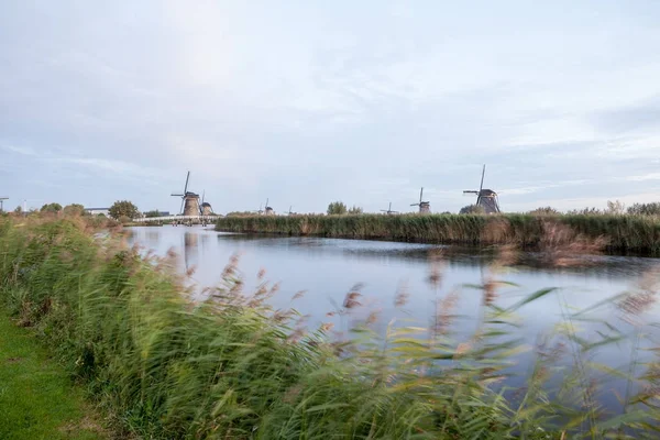Киндердейк в Голландии — стоковое фото