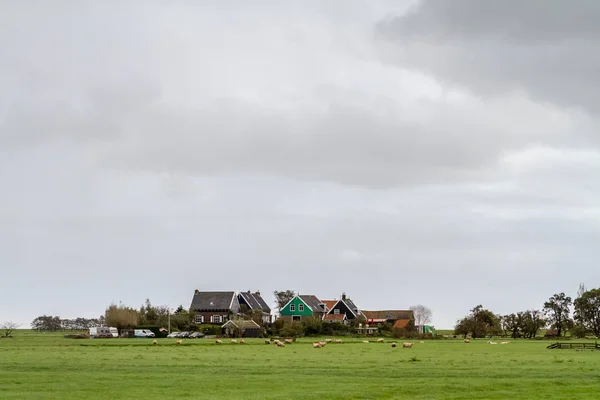 Nederlandse huisjes met weide — Stockfoto