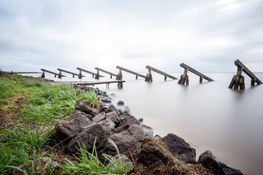 bir sürü deniz kesiciler
