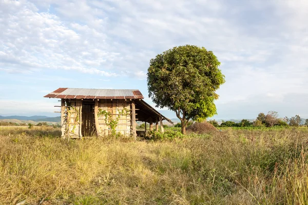 Liggande Thailand whit ett litet hus — Stockfoto