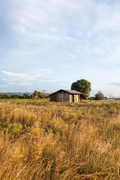 Landschap van Thailand whit een klein huis — Stockfoto