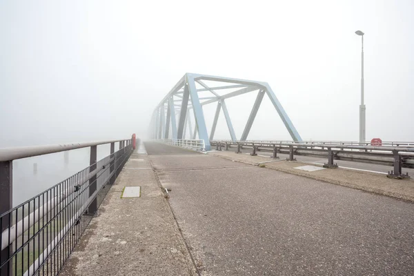 Un ponte di rana — Foto Stock