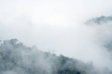 Dağların sisli manzarası