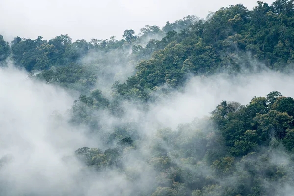 Paisagem nebulosa nas montanhas — Fotografia de Stock