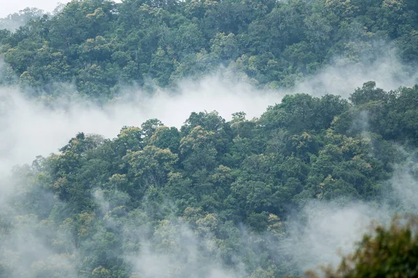 Paisaje brumoso en las montañas — Foto de Stock