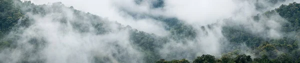 Paisaje brumoso en las montañas — Foto de Stock