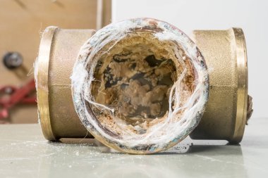 Sarı bakır tişört