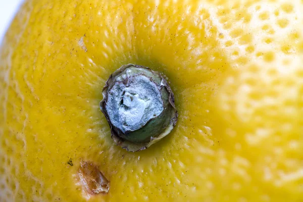 Bir Meyve Limonu Yakın Plan Dokuz Fotoğraf Istifleyerek Yapılır — Stok fotoğraf