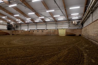 Atlar için veteriner kliniğinde binicilik okulu için bu salon var.