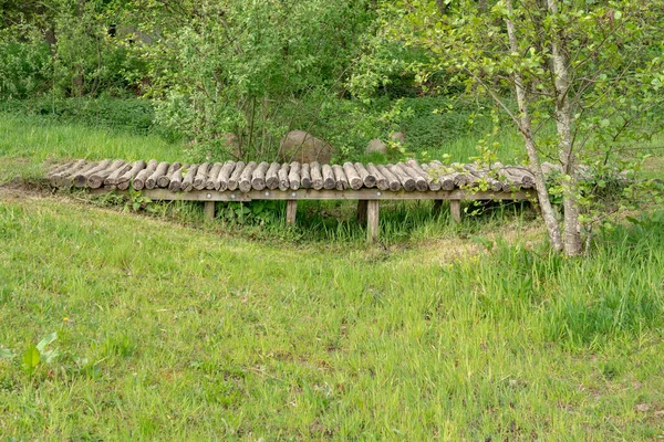 Durante Una Giornata Nuvolosa Questo Sentiero Attraversa Ponte Legno Mezzo — Foto Stock