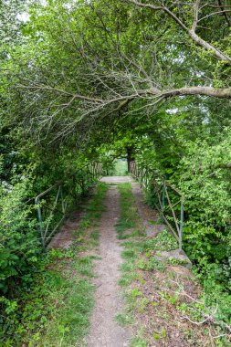 Doğadaki bu güzel köprü bir bisiklet caddesinin ya da yaya sokağının üzerinde.