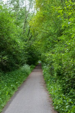Doğanın ortasında bir bisiklet sokağı ya da yaya sokağı var.