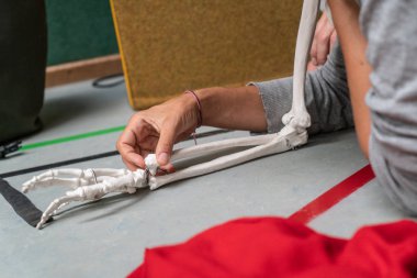 Dansçı eli, kolun anatomik iskeleti.