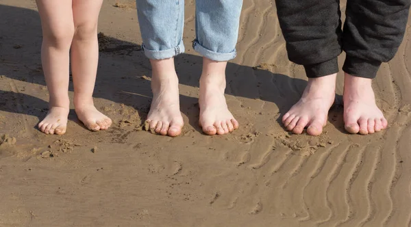 Child feet, woman feet and man feet barefoot standing in a row on the sand beach