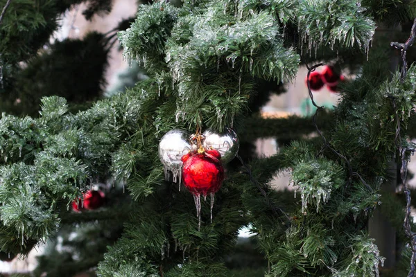 Frozen red and silver decorative balls on pine tree in ice in the winter park — Stock Photo, Image