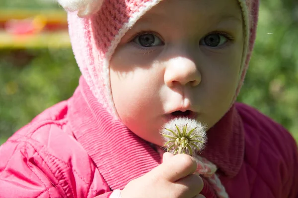 夏の公園でタンポポに吹く前に口を開けて驚いている子供 — ストック写真