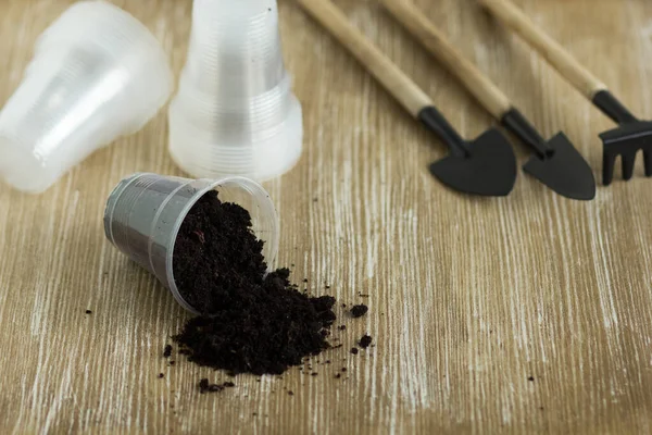 Tohumlar için 100 mililitrelik boş plastik bardakları istifleyin ve ahşap arka planda kök salın.