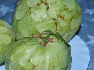 Plastikler arasında yoğun yeşil renkli kiraz çiçekleri.