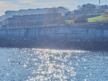 Galiçya 'daki La Corua sahillerinde yürüyorum.