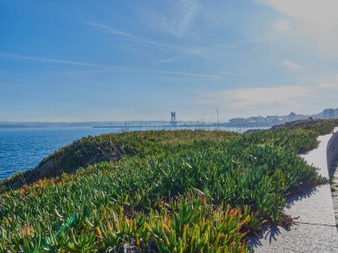 Galiçya 'daki La Corua sahillerinde yürüyorum.