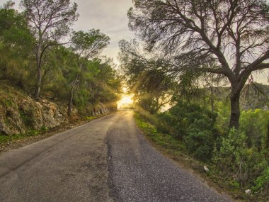 Öğleden sonra Granada 'daki şişman tepenin yamacında yürüyordum.