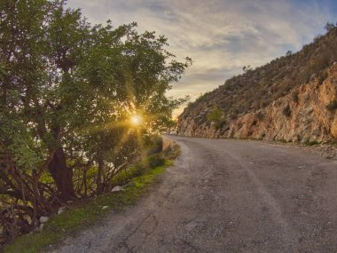 Öğleden sonra Granada 'daki şişman tepenin yamacında yürüyordum.