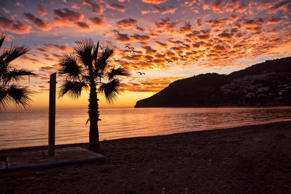 Praia Cidade Herradura Granada Manhã Nas Horas Douradas — Fotografia de Stock