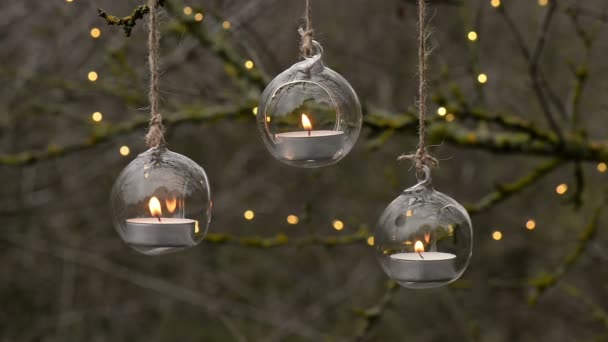 Lanternes Magiques Verre Avec Bougies Allumantes Dans Forêt Mystique Décoration — Video