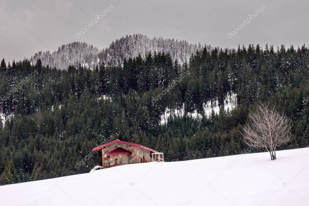 Small Mountain House surrounded by Snow in a Winter Time