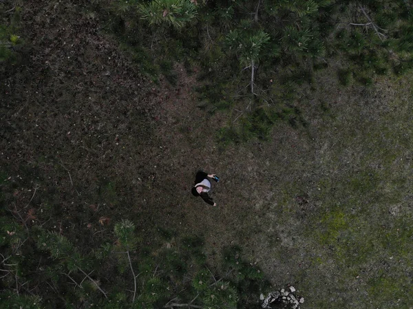 Женщина-пилот дрона держит контроллер дрона в лесу во время — стоковое фото