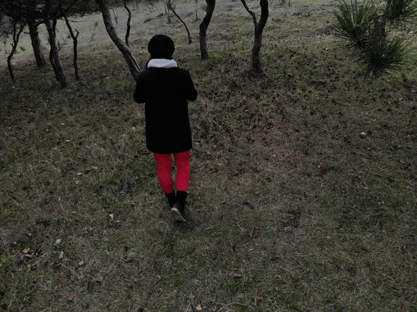 Vista trasera de una hembra caminando sola en un bosque durante el invierno ti —  Fotos de Stock