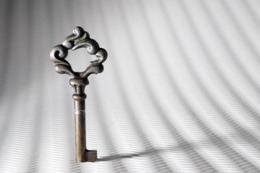 Vintage Özellik Anahtarı Beyaz Desenli Arkaplanda izole edildi