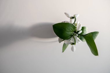 Vazonun iç dekorasyonunda kar damlaları